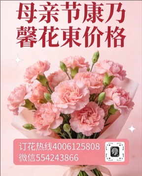 德阳旌阳区花店母亲节康乃馨花束